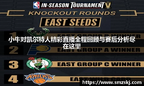 小牛对凯尔特人精彩直播全程回顾与赛后分析尽在这里